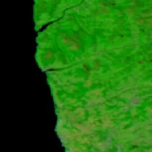 Wildfire near Darque — NASA satellite