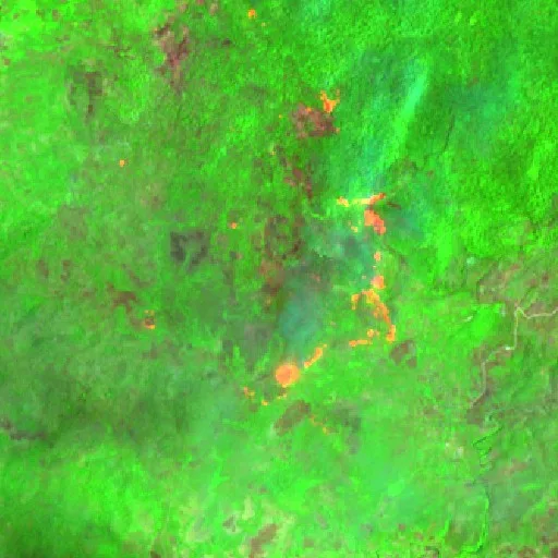 Wildfire near Daruba — Sentinel-2 SWIR (fuego)
