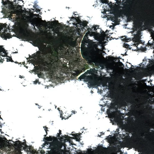 Dee Why Bushfire — Sentinel-2 true color