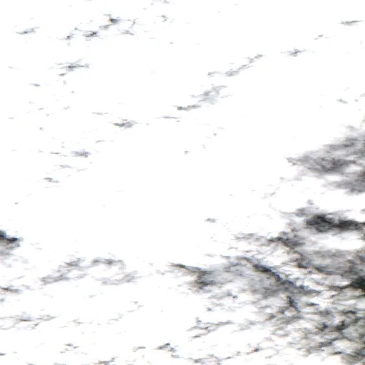Incendio cerca de Dehcho Region (8 jul · W) — Sentinel-2 true color