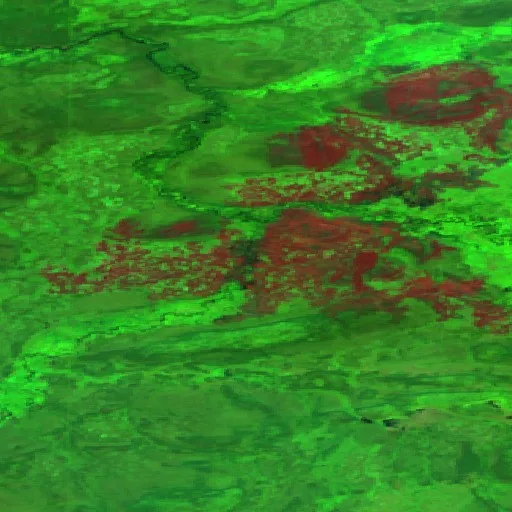 Incendio cerca de Dehcho Region — Sentinel-2 SWIR