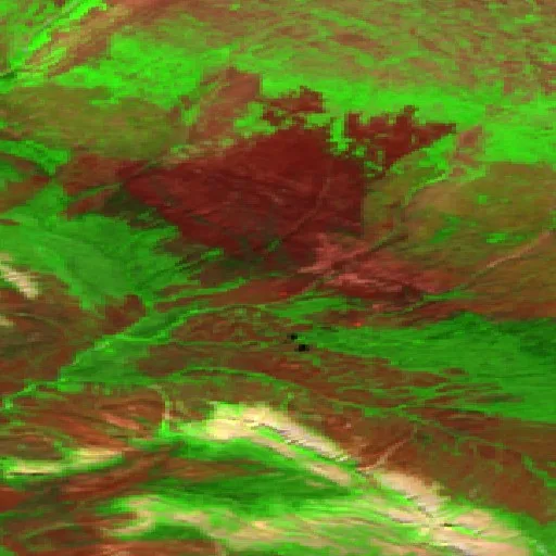 Wildfire near Dehcho Region — Sentinel-2 SWIR (fuego)