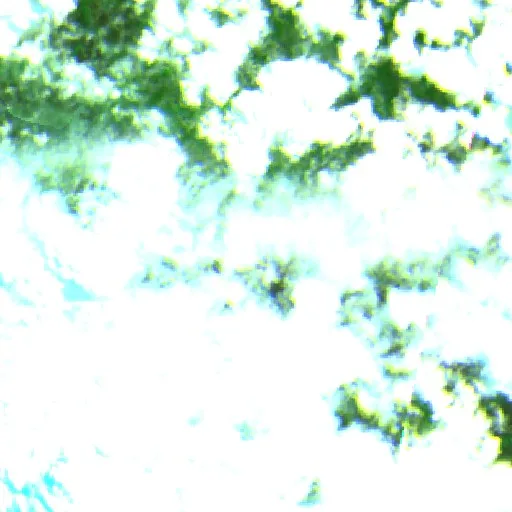 Wildfire near Delfinópolis — Sentinel-2 SWIR (fuego)