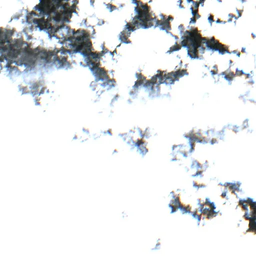 Wildfire near Delfinópolis — Sentinel-2 true color