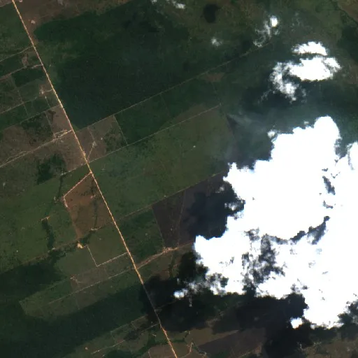 Wildfire near Demarcação (Aug 21) — Sentinel-2 true color