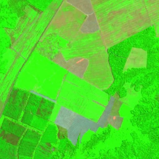Wildfire near Dom Eliseu — Sentinel-2 SWIR (fuego)