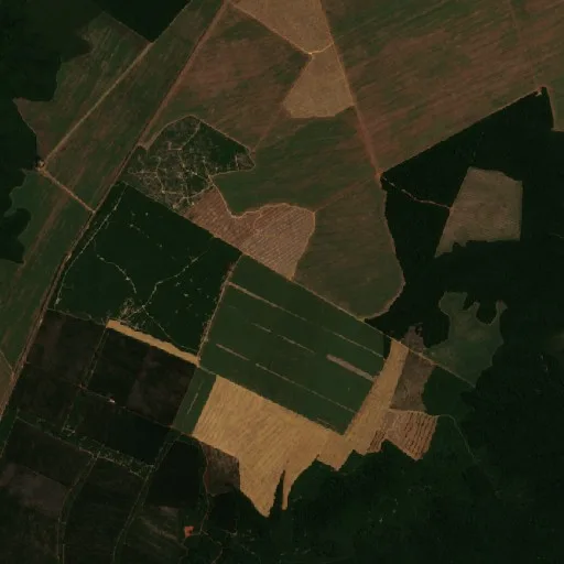Wildfire near Dom Eliseu — Sentinel-2 true color