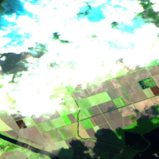 Wildfire near Donzella — Sentinel-2 SWIR (fuego)