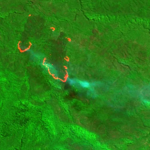 Incendio cerca de Dorrigo (4 sep · NE) — Sentinel-2 SWIR (fuego)