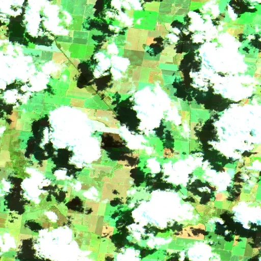 Downside Bushfire — Sentinel-2 SWIR (fuego)