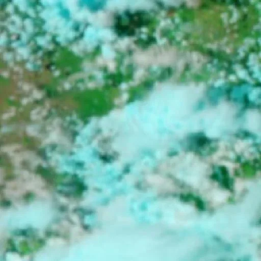 Dumgree Bushfire (Oct 29) — NASA satellite