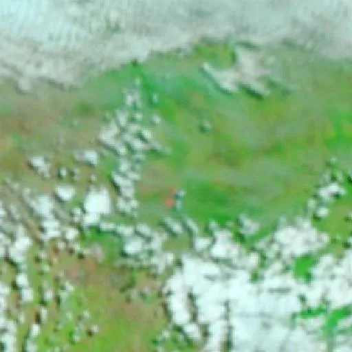 Dumgree Bushfire (Oct 30) — NASA satellite