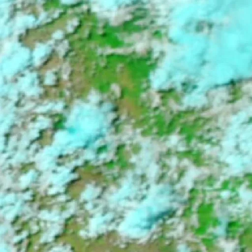 Dumgree Bushfire — NASA satellite