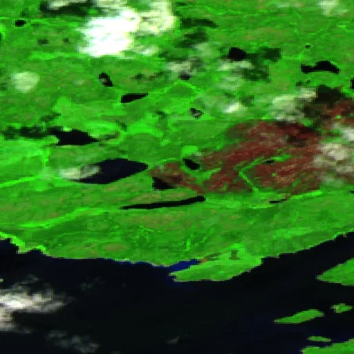 Incendio cerca de Eeyou Istchee Baie-James (1 jul) — Sentinel-2 SWIR (fuego)
