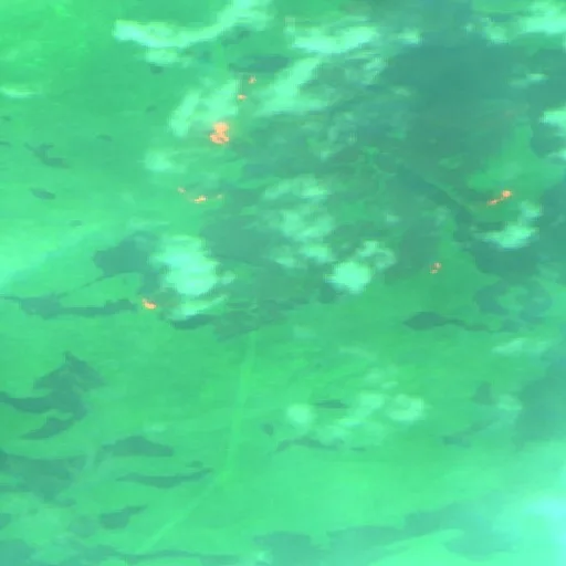 Wildfire near Eeyou Istchee Baie-James (Jul 31) — Sentinel-2 SWIR (fuego)