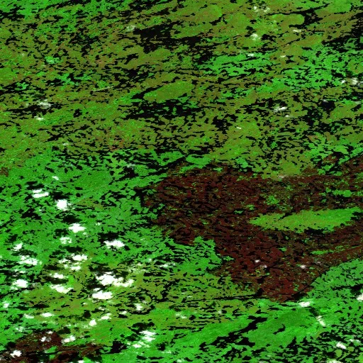 Wildfire near Eeyou Istchee James Bay (Jun 28) — Sentinel-2 SWIR (fuego)