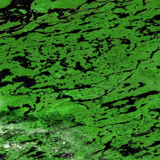 Incendio cerca de Eeyou Istchee James Bay (28 may) — Sentinel-2 SWIR (fuego)