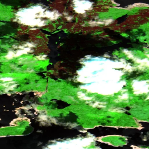 Incendio cerca de Eeyou Istchee James Bay (29 jun) — Sentinel-2 SWIR (fuego)