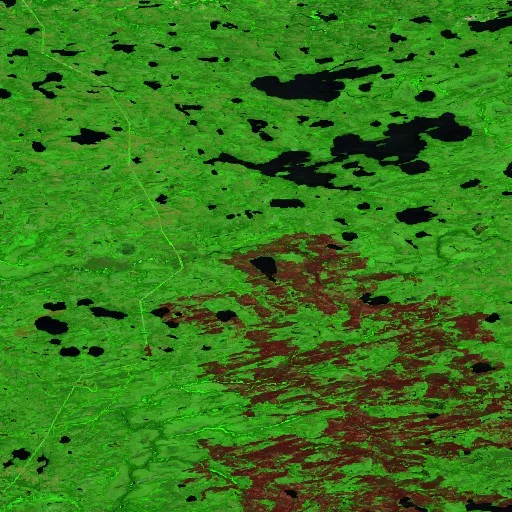 Wildfire near Eeyou Istchee James Bay (Jun 19) — Sentinel-2 SWIR (fuego)