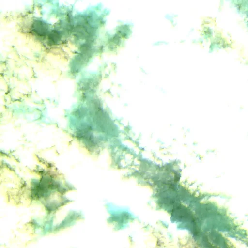 Wildfire near El Carmen Rivero Tórrez — Sentinel-2 SWIR (fuego)