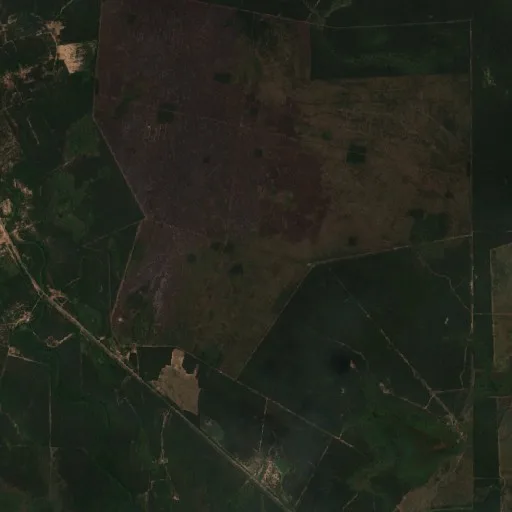 Wildfire near El Ceibal — Sentinel-2 true color