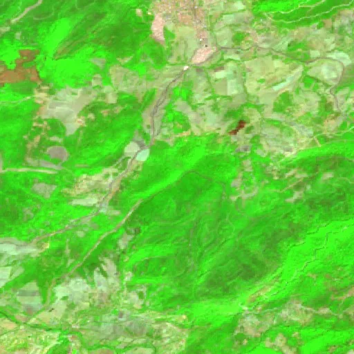 Incendio cerca de El Kala — Sentinel-2 SWIR (fuego)
