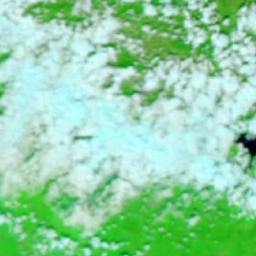 Incendio cerca de El Palmar — NASA satellite