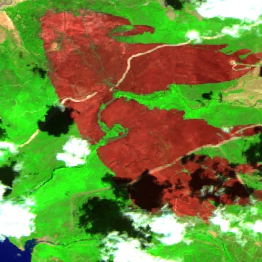 Wildfire near El Tarf (Aug 29) — Sentinel-2 SWIR (fuego)