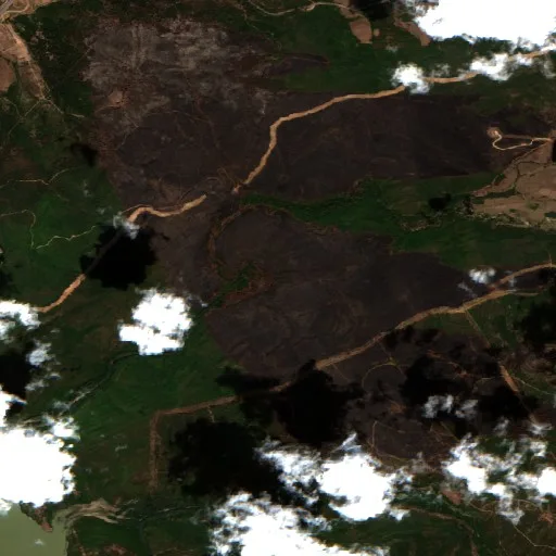 Wildfire near El Tarf (Aug 29) — Sentinel-2 true color