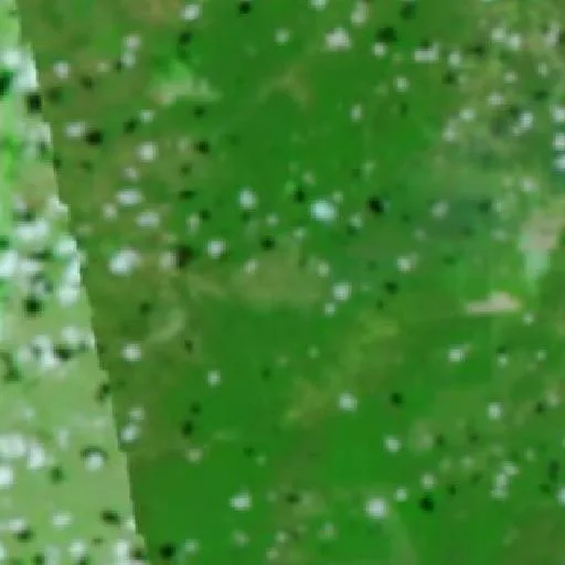 Wildfire near Eliseu Martins — NASA satellite