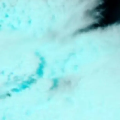 Elliott Heads Bushfire — NASA satellite