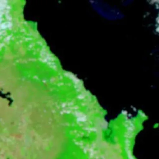 Ellis Beach Bushfire — NASA satellite
