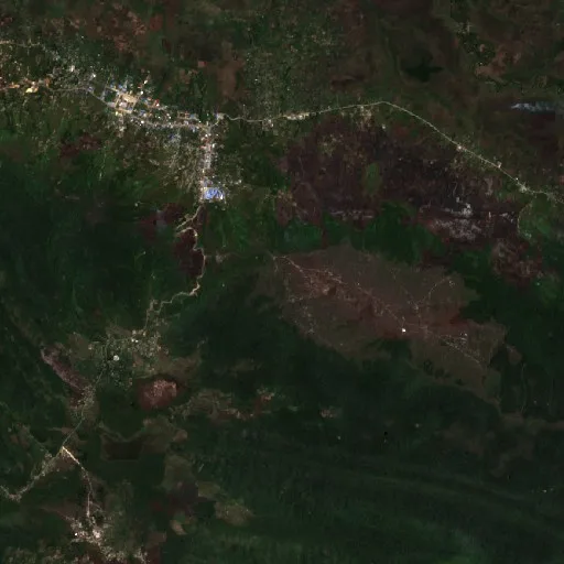 Wildfire near Enarotali — Sentinel-2 true color