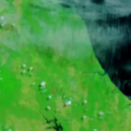 Euleilah Bushfire — NASA satellite