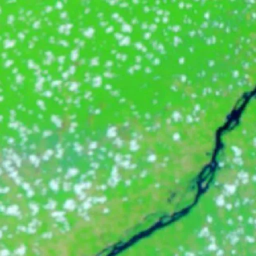 Wildfire near Everaldo Martins (Oct 9 · E) — NASA satellite