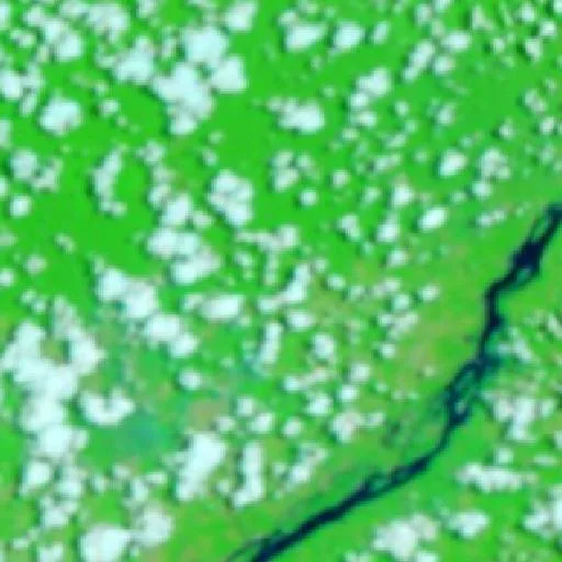 Wildfire near Everaldo Martins — NASA satellite