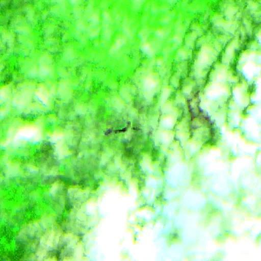 Wildfire near Extrema — Sentinel-2 SWIR (fuego)