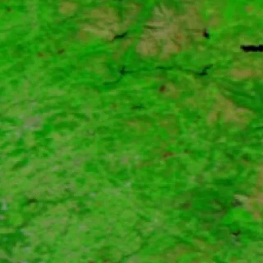 Wildfire near Fafe — NASA satellite