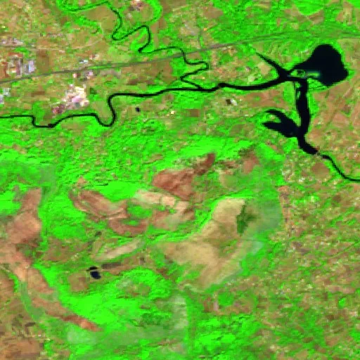 Incendio cerca de Falvaterra — Sentinel-2 SWIR (fuego)