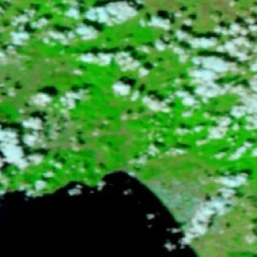 Wildfire near Faraldo-Nocelleto — NASA satellite