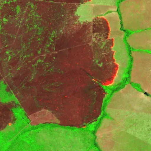 Wildfire near Fazenda Tamakavy — Sentinel-2 SWIR (fuego)