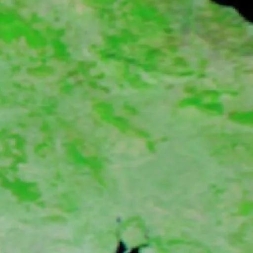 Wildfire near Fifi — NASA satellite
