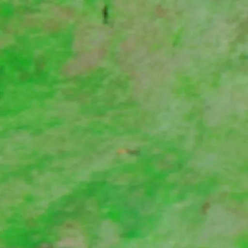 Wildfire near Figueiró da Granja — NASA satellite