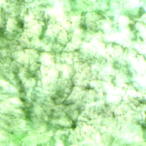 Wildfire near Filadelfia (Sep 8) — Sentinel-2 SWIR (fuego)