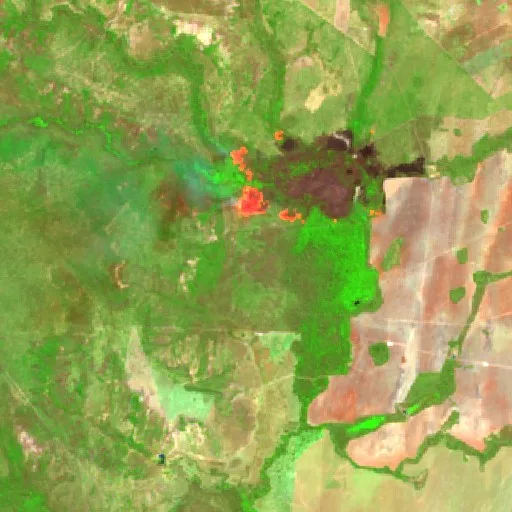 Incendio cerca de Flores de Goiás (17 ago) — Sentinel-2 SWIR (fuego)