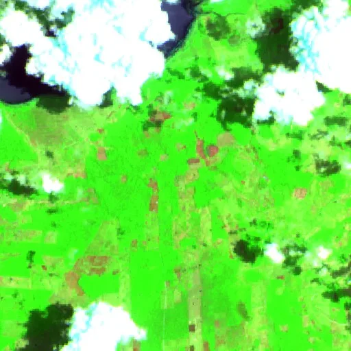 Wildfire near Flores — Sentinel-2 SWIR (fuego)