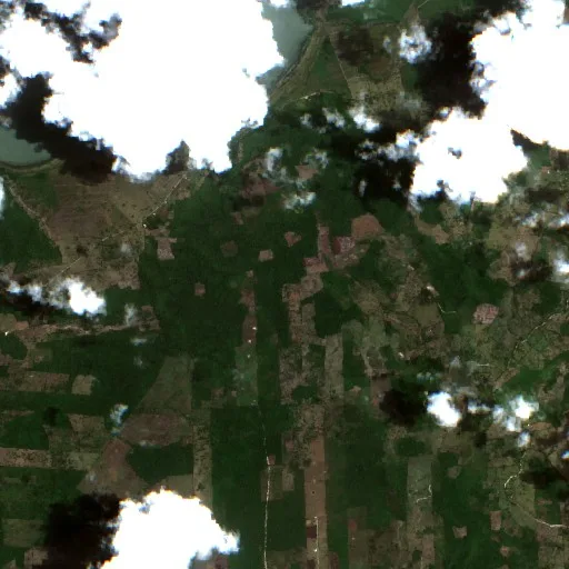 Wildfire near Flores — Sentinel-2 true color