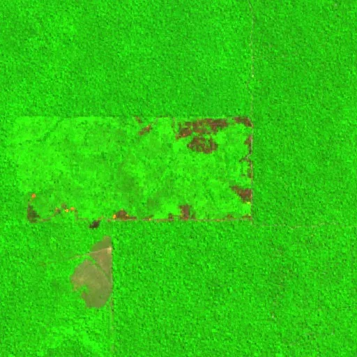 Wildfire near Floresta — Sentinel-2 SWIR