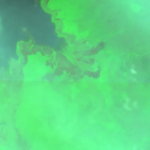 Wildfire near Florida — Sentinel-2 SWIR (fuego)