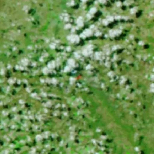 Incendio cerca de Formoso — NASA satellite